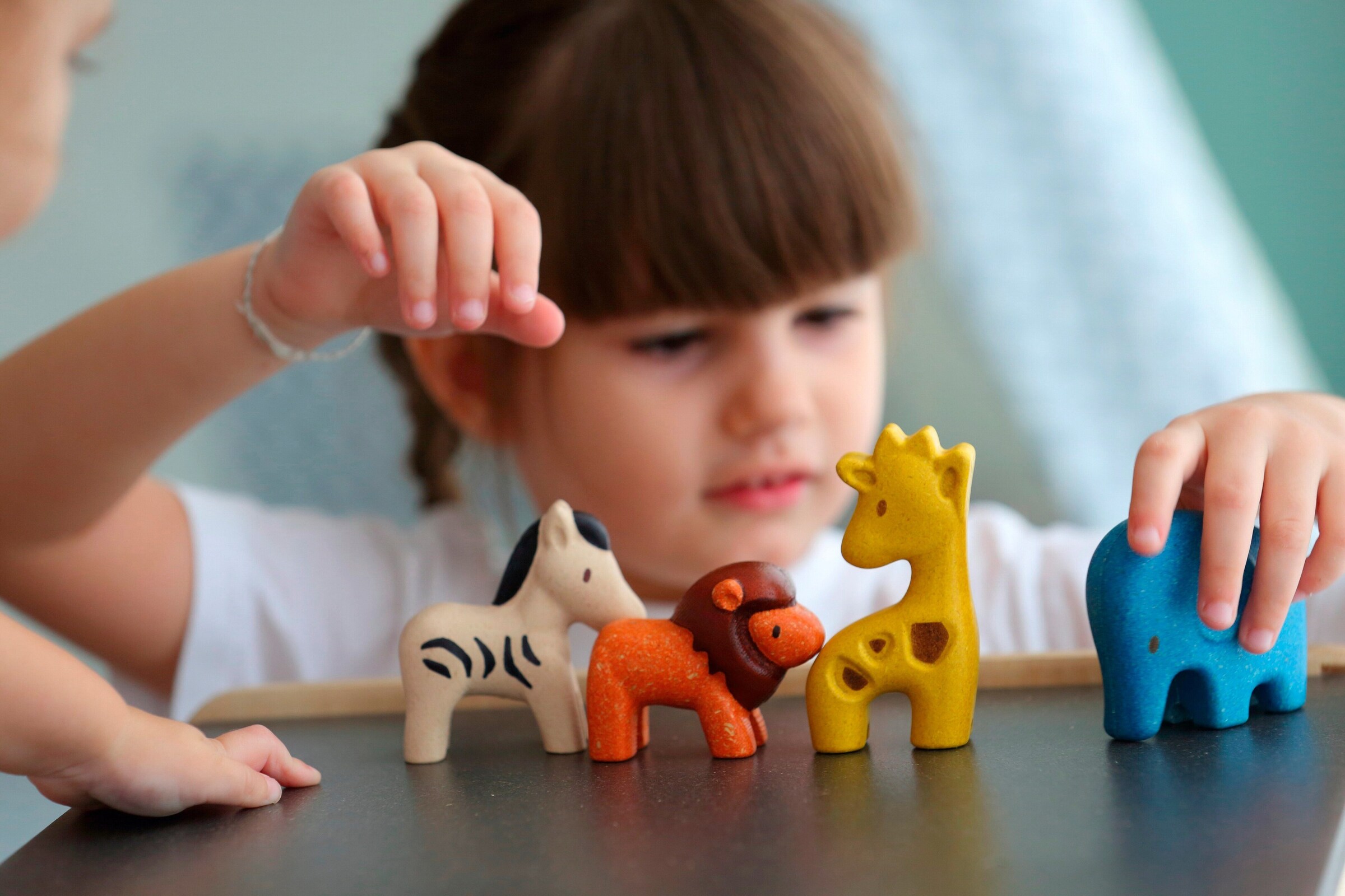 PlanToys Wildtier-Set