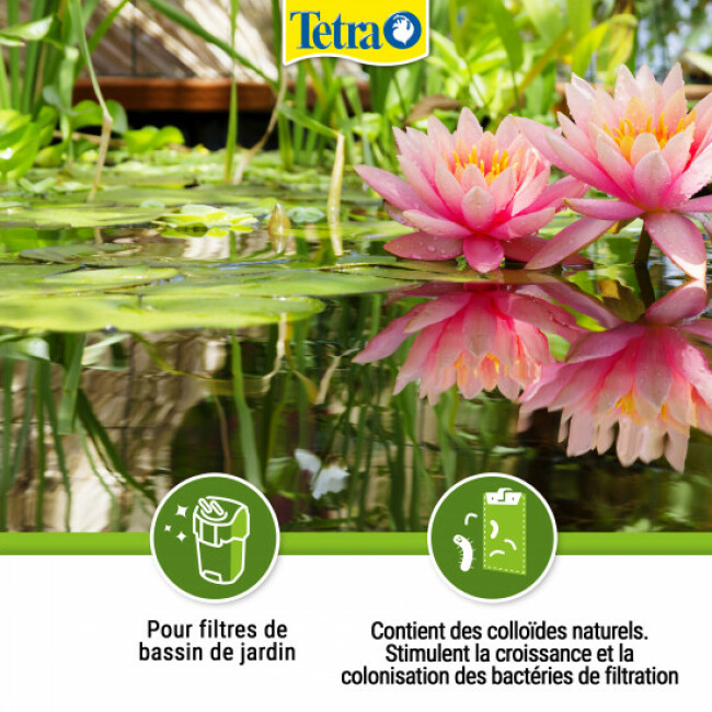 Traitement de l'eau Tetra Pond FilterZym 10 gélules