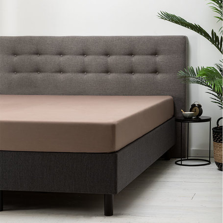 2-PACK: Hoeslaken Katoen - Taupe