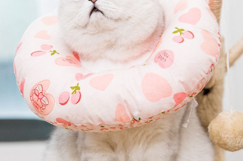 Cissilli - Print Pet Recovery Collar
