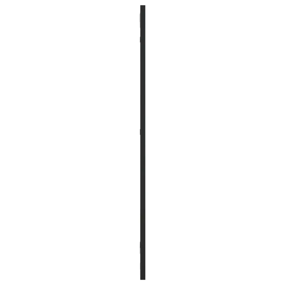 vidaXL - Wandspiegel - Zwart - IJzer - 30 x 80 cm