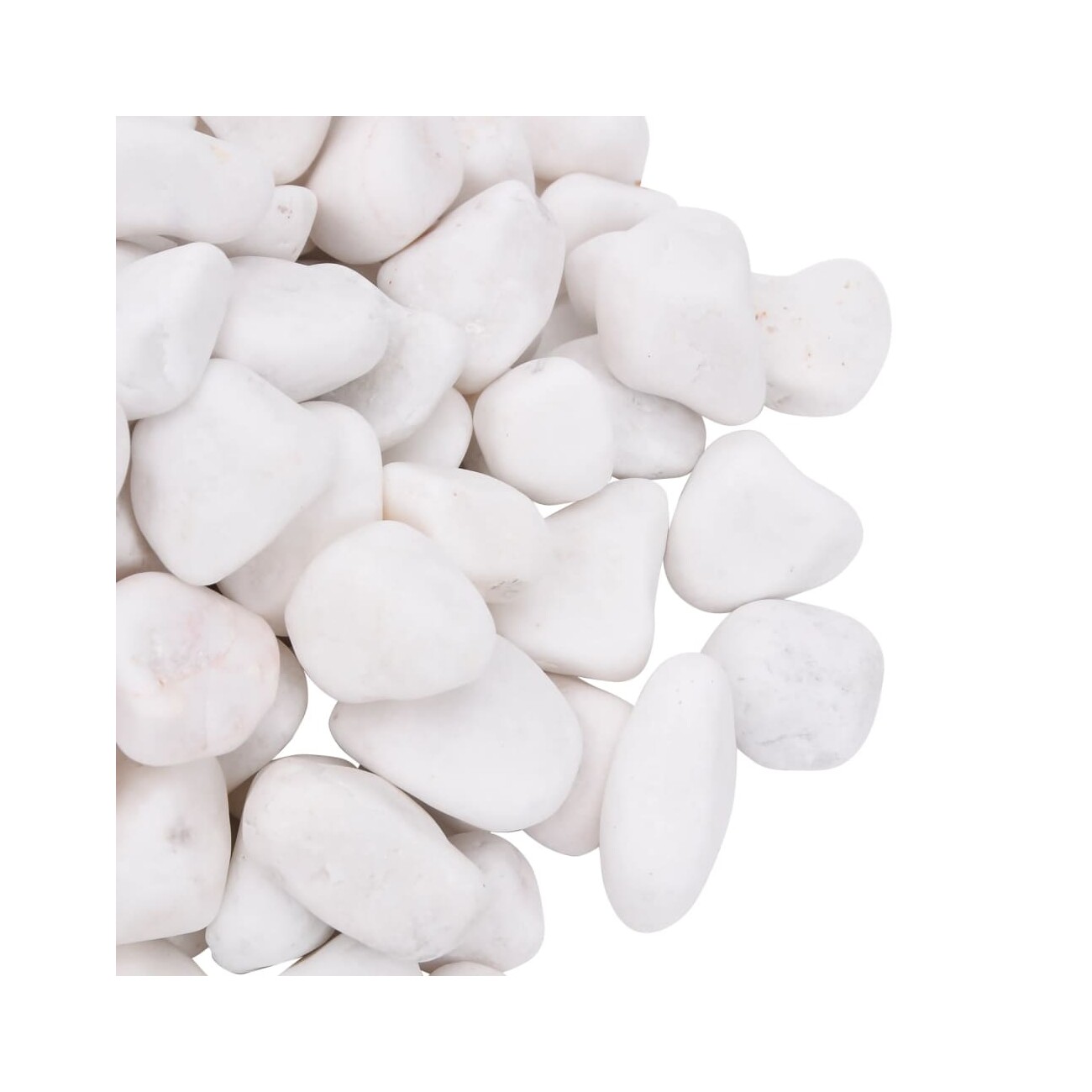VidaXL Polierte Kiesel Weiß 2-5 cm 10 kg