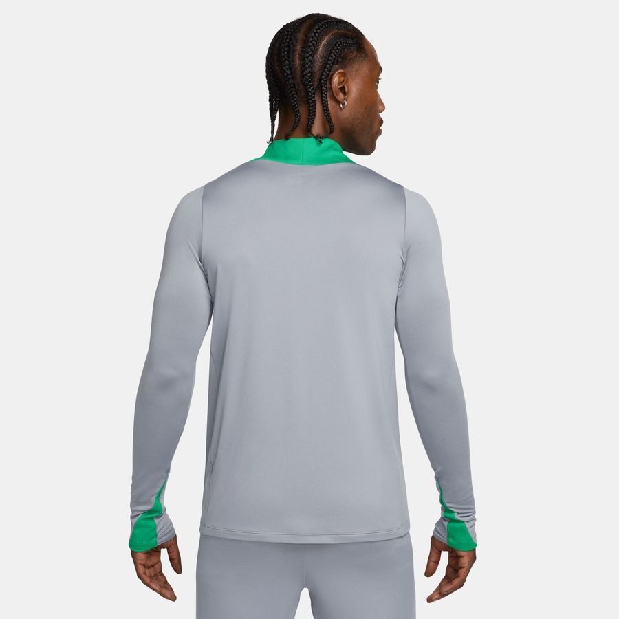 Nigeria Maillot d'Entraînement Dri-FIT Strike Drill - Gris/Vert/Blanc