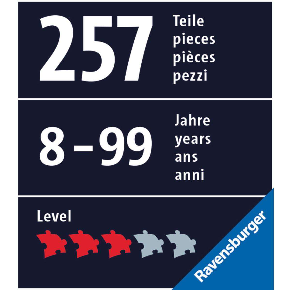 Ravensburger Spiel Lebkuchenhaus bei Nacht