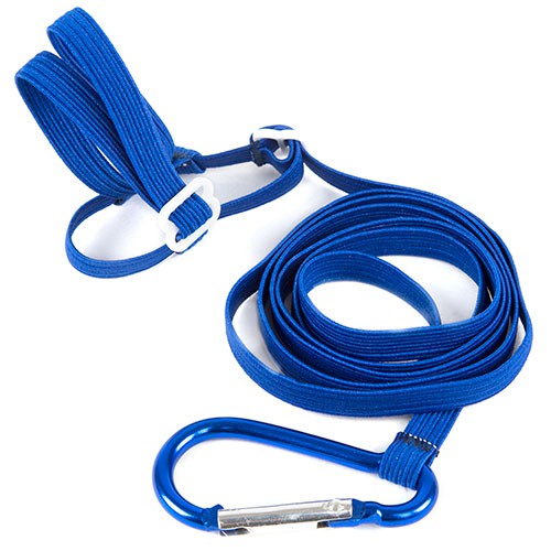 Coleira peitoral TK-Pet com guia azul para papagaios
