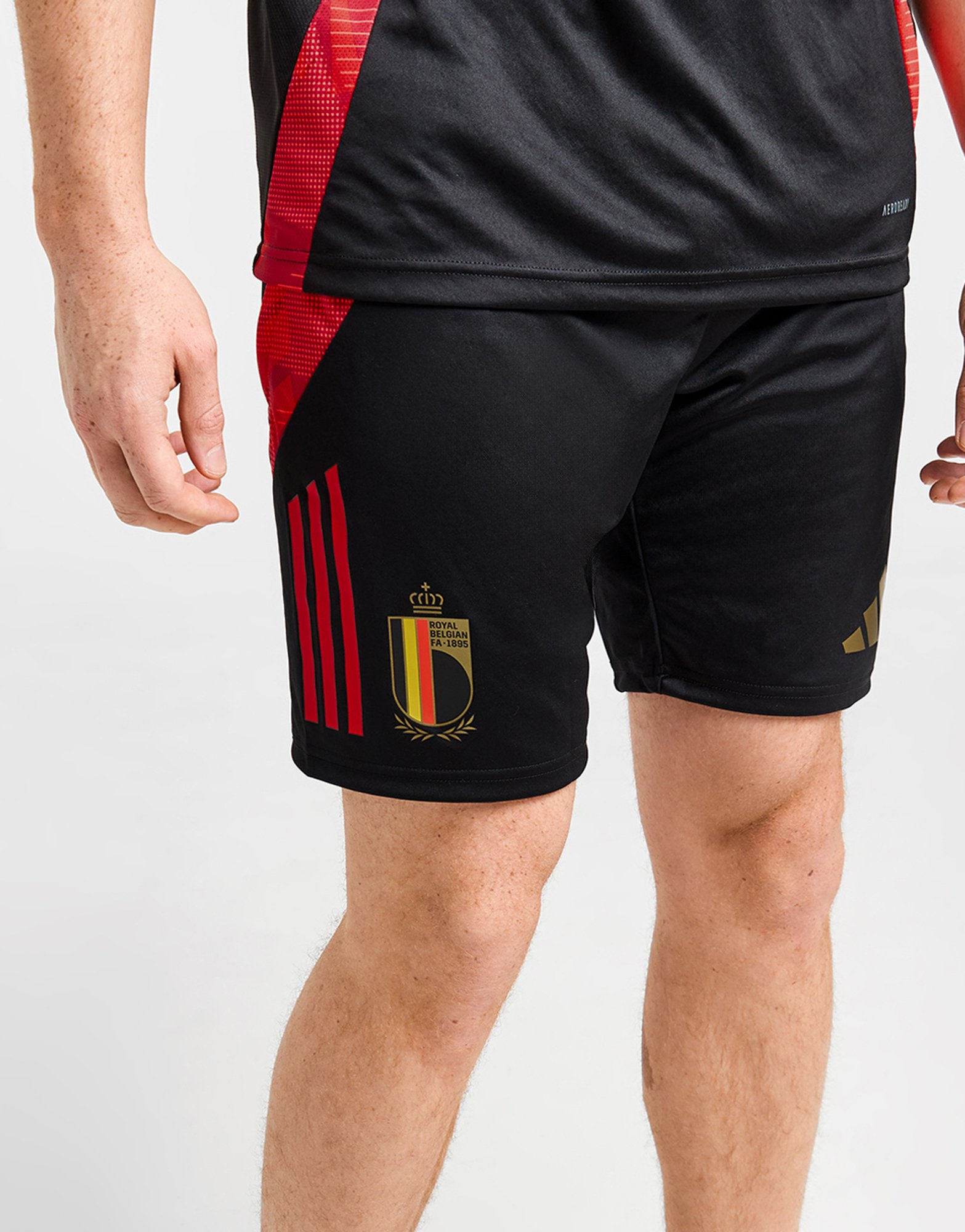 adidas Short d'entraînement Belgique Homme