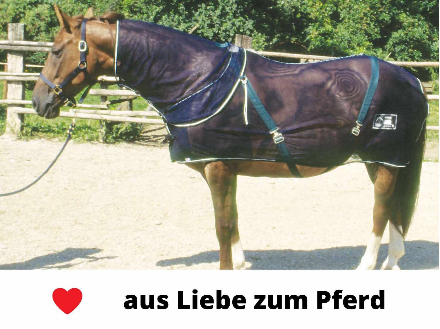 3Horses Ekzemdecke