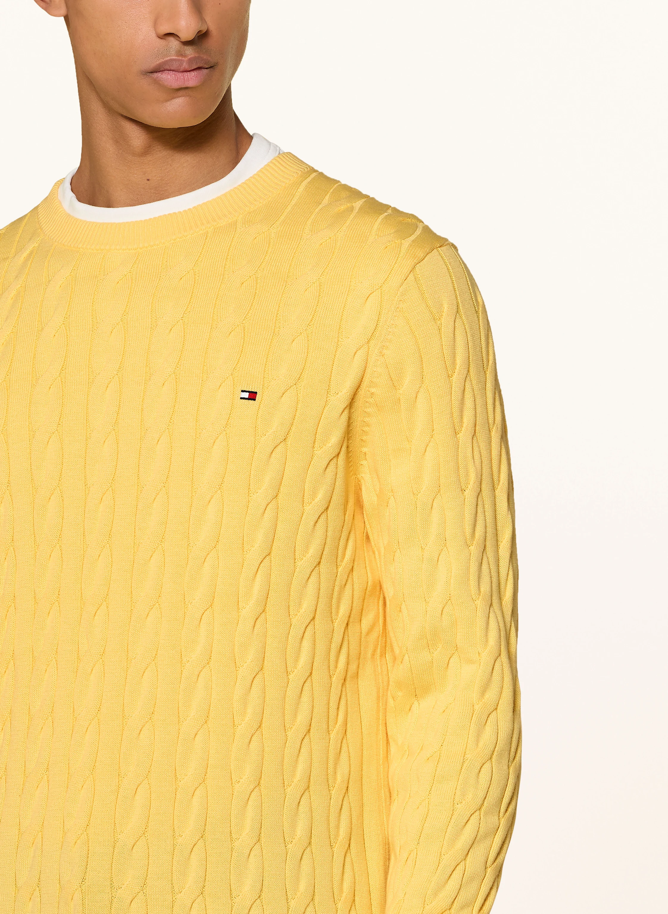 TOMMY HILFIGER Pullover