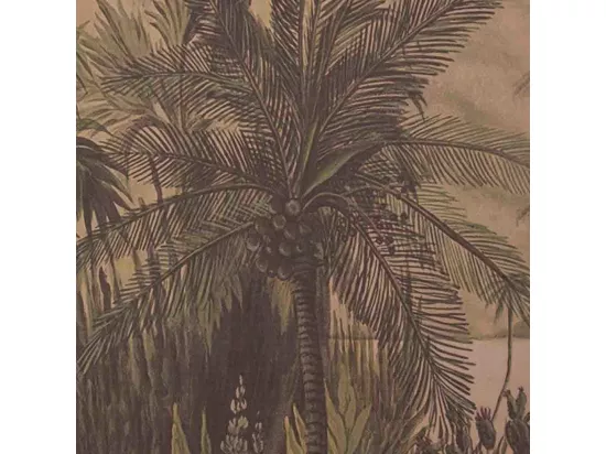 Toile de lin imprimée en parchemin