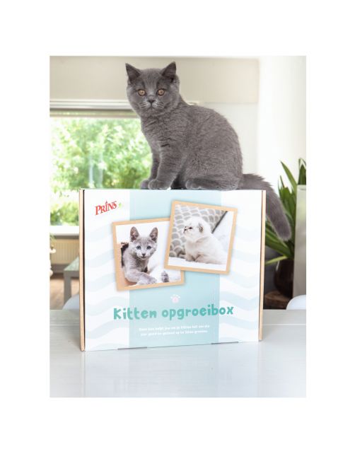 Prins Vitalcare Kitten - Kattenvoer