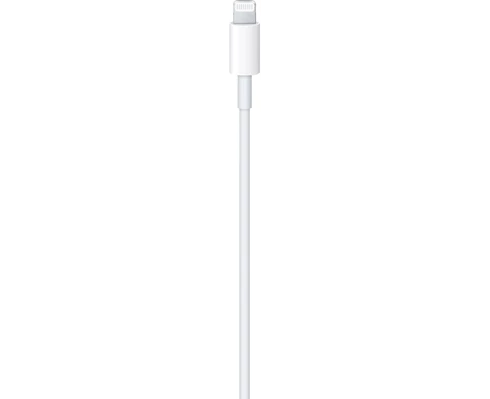 Apple USB-C to Lightning Cable (1m)