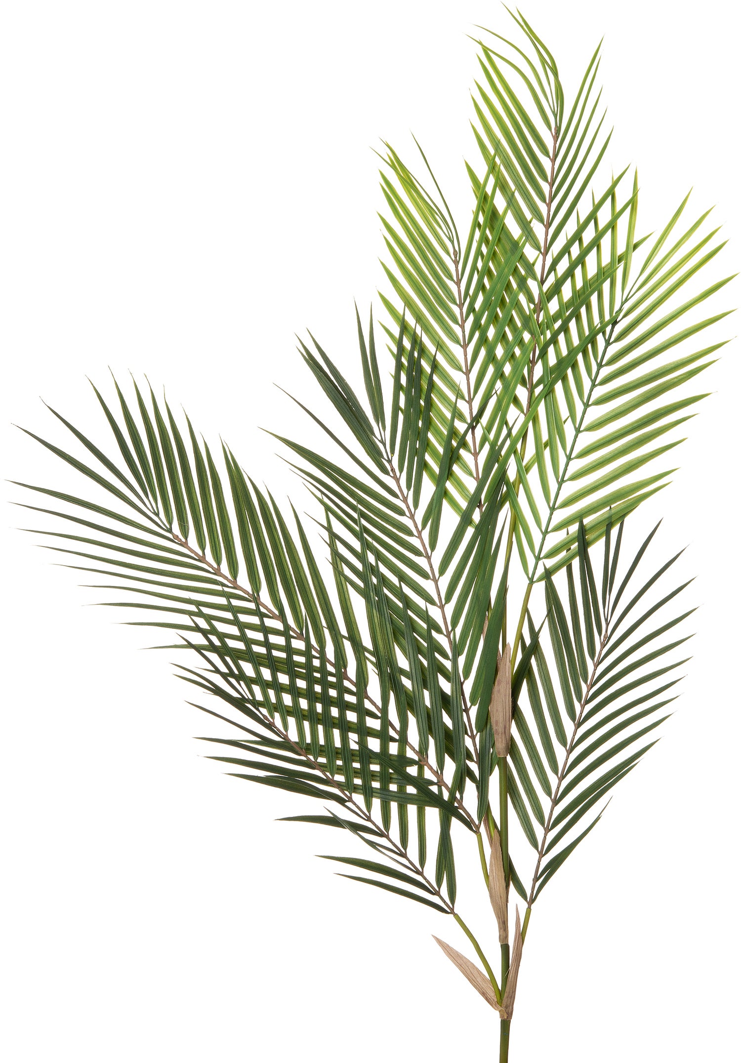 Intratuin kunsttak palm blad 91 cm