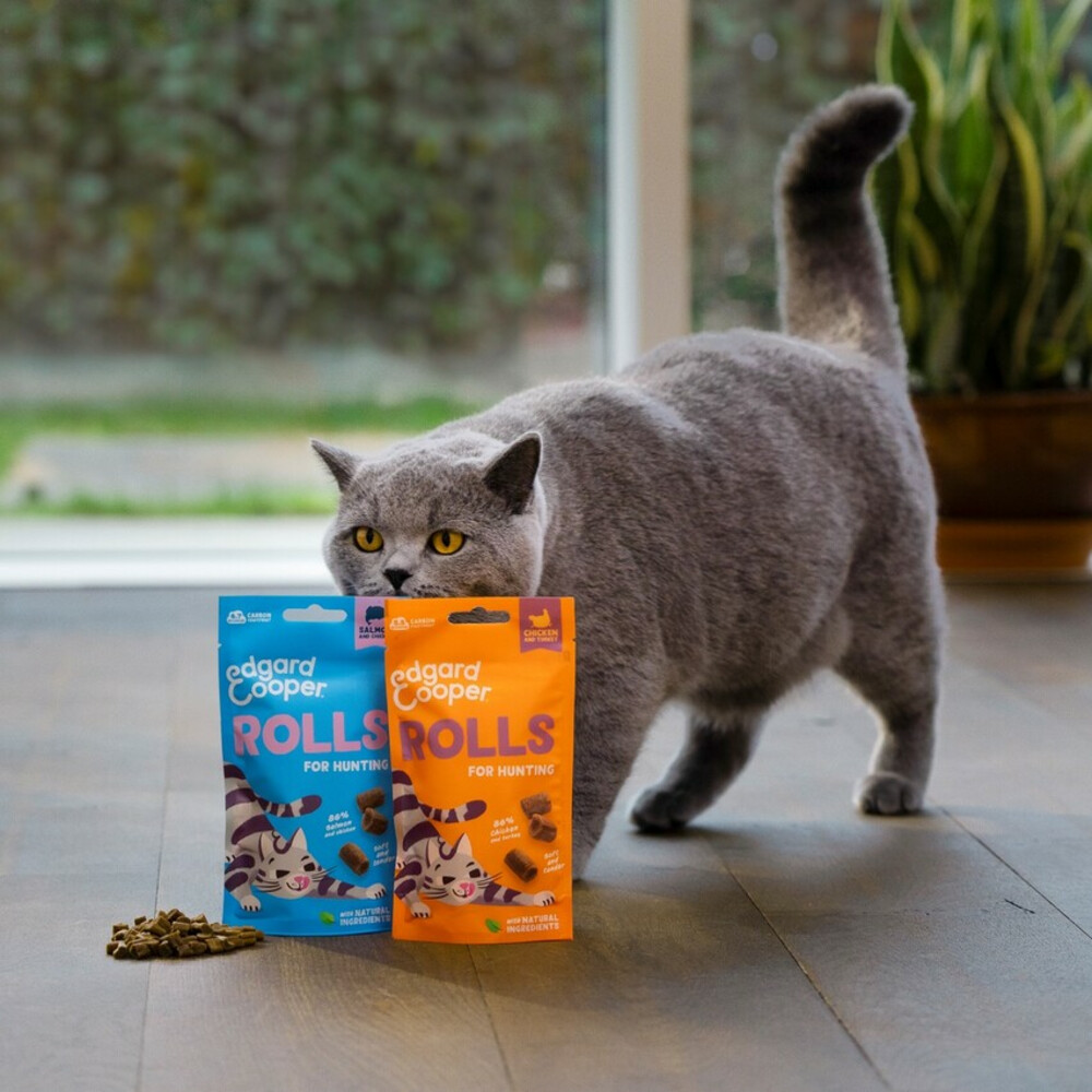 Edgard & Cooper Adult Rolls Kattensnack Zalm45 gr