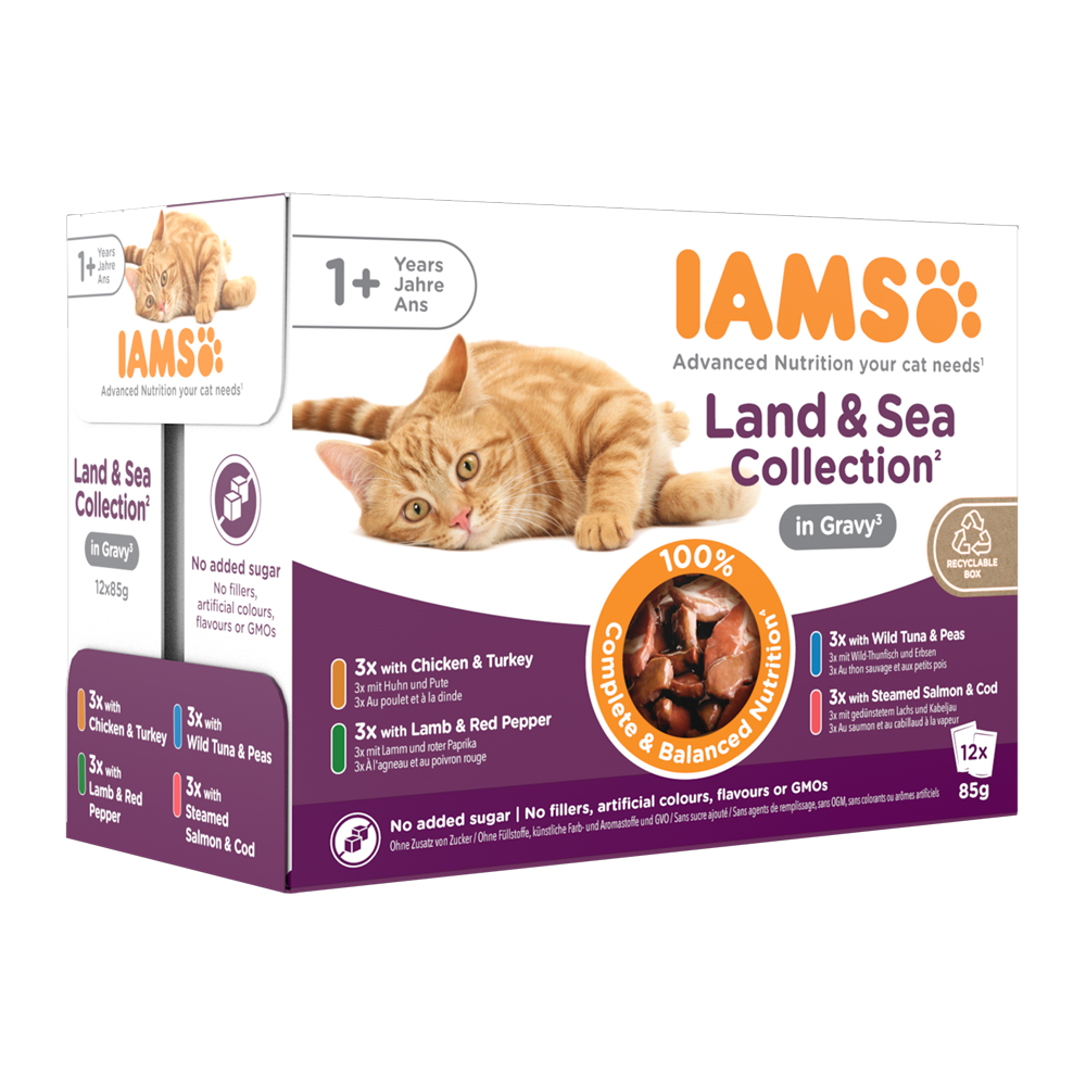 IAMS Delights Adult Cat Natvoer