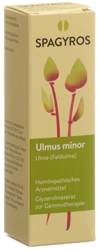 Spagyros Ulmus minor Glyc Maz 1 D Spr 30 ml