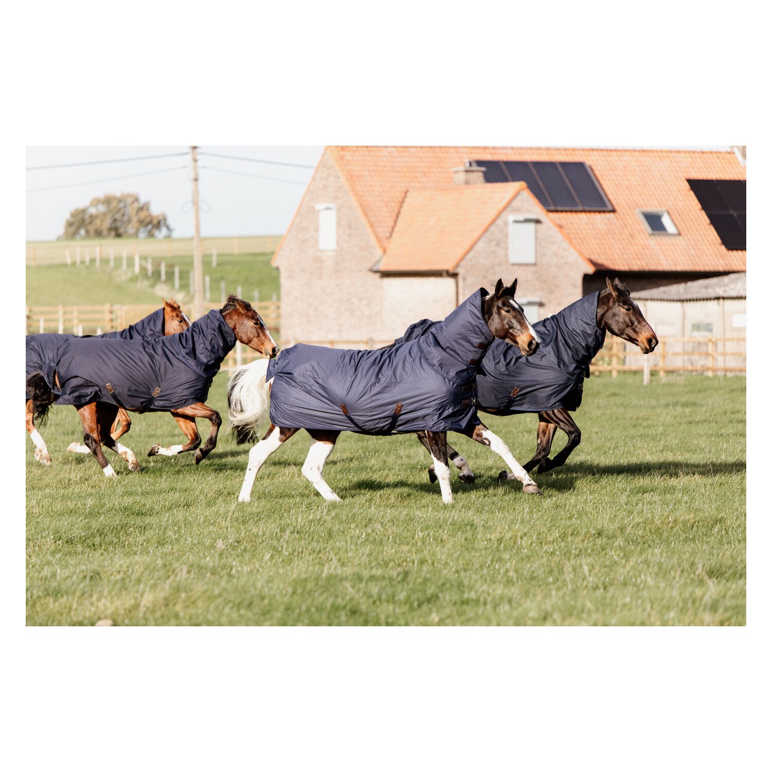 KENTUCKY Outdoordecke All Weather Quick Dry Fleece - navy