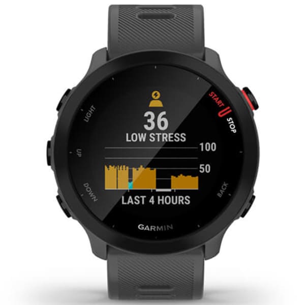 Montre cardio GPS GARMIN FORERUNNER 55 MONTERRA GREY