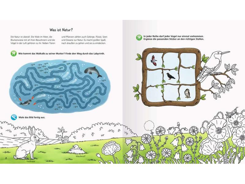 Ravensburger Kinder-Sachbuch WWW aktiv-Heft: Natur Aktiv die Natur entdecken