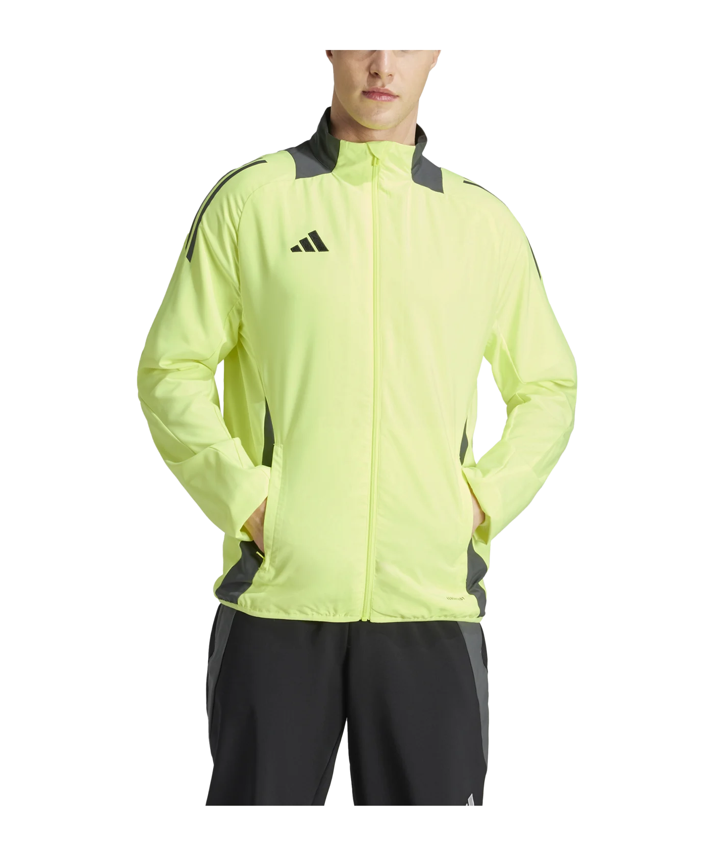 adidas Tiro 24 Competition Präsentationsjacke Gelb