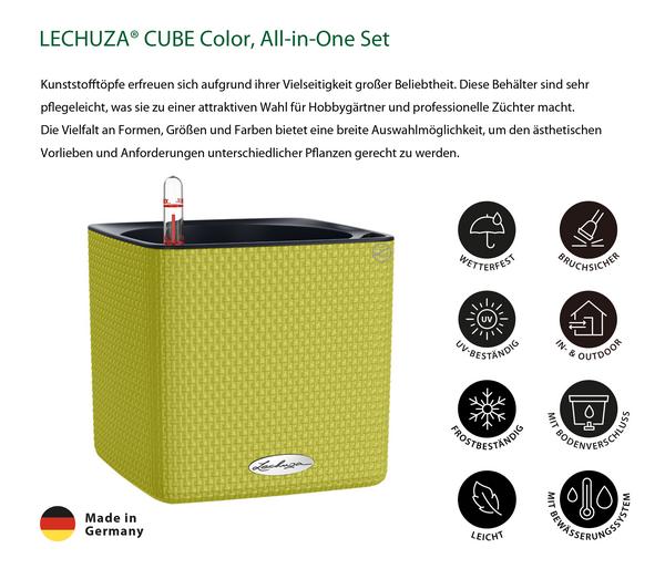 LECHUZA® CUBE Color, All-in-One Set