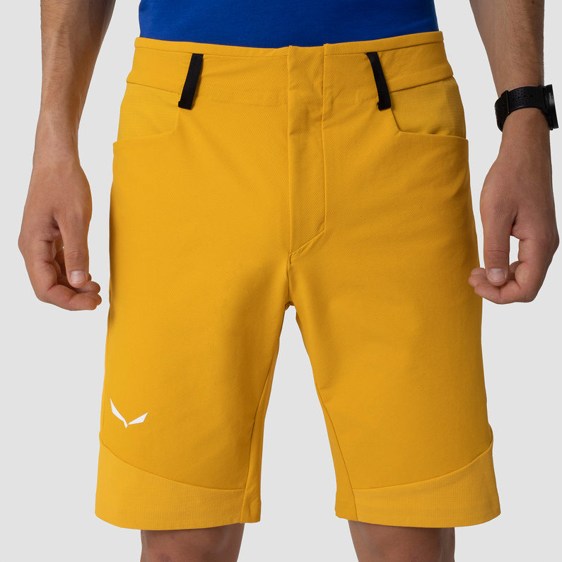 Salewa Herren Agner Dst Shorts