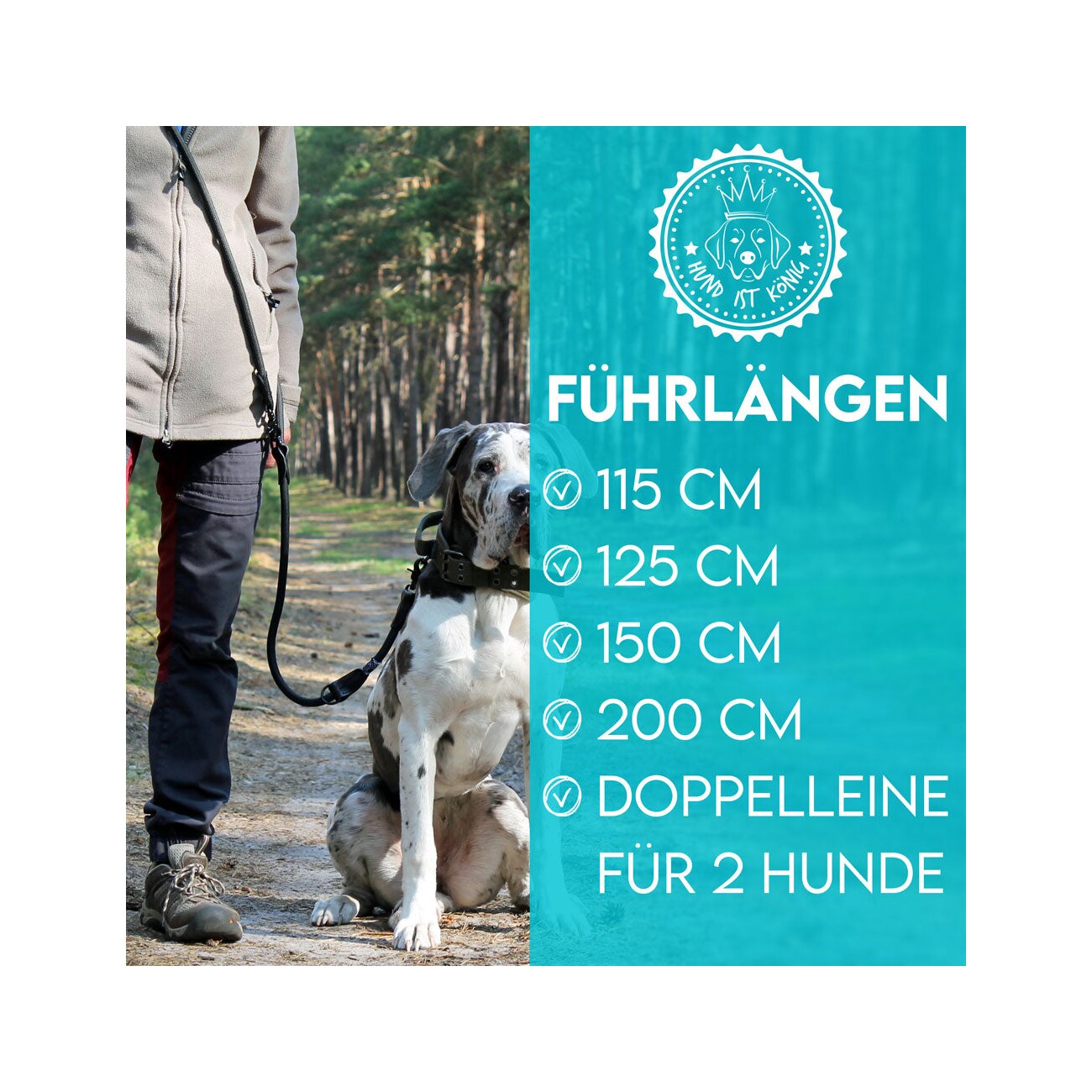 HUND IST KÖNIG ® 2,3 m verstellbare Führleine für Hunde schwarz 1,2 cm, 2,3 m