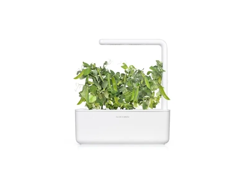 Click & Grow SGR54x3, Spiselig plante, Genopfyldning, Hurtig producent (3-5 uger), 7 - 14 dage, 2 måned(er), 18 - 24 °C