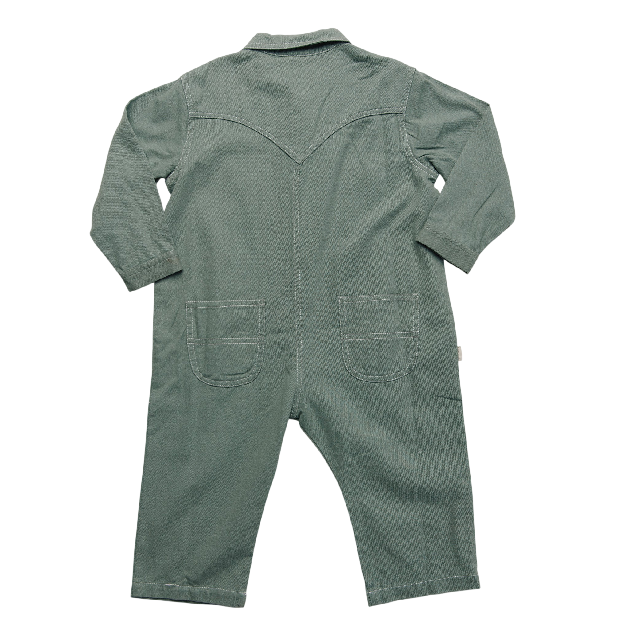 Overall Western Seagreen