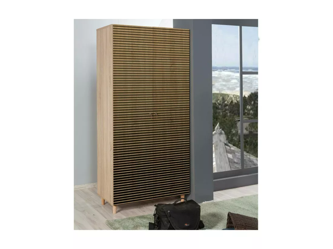 Garde-robe 2 portes Dfrollan, Meubles de chambre, Penderie de plain-pied, Placard à vêtements, 90x52h192 cm, Chêne