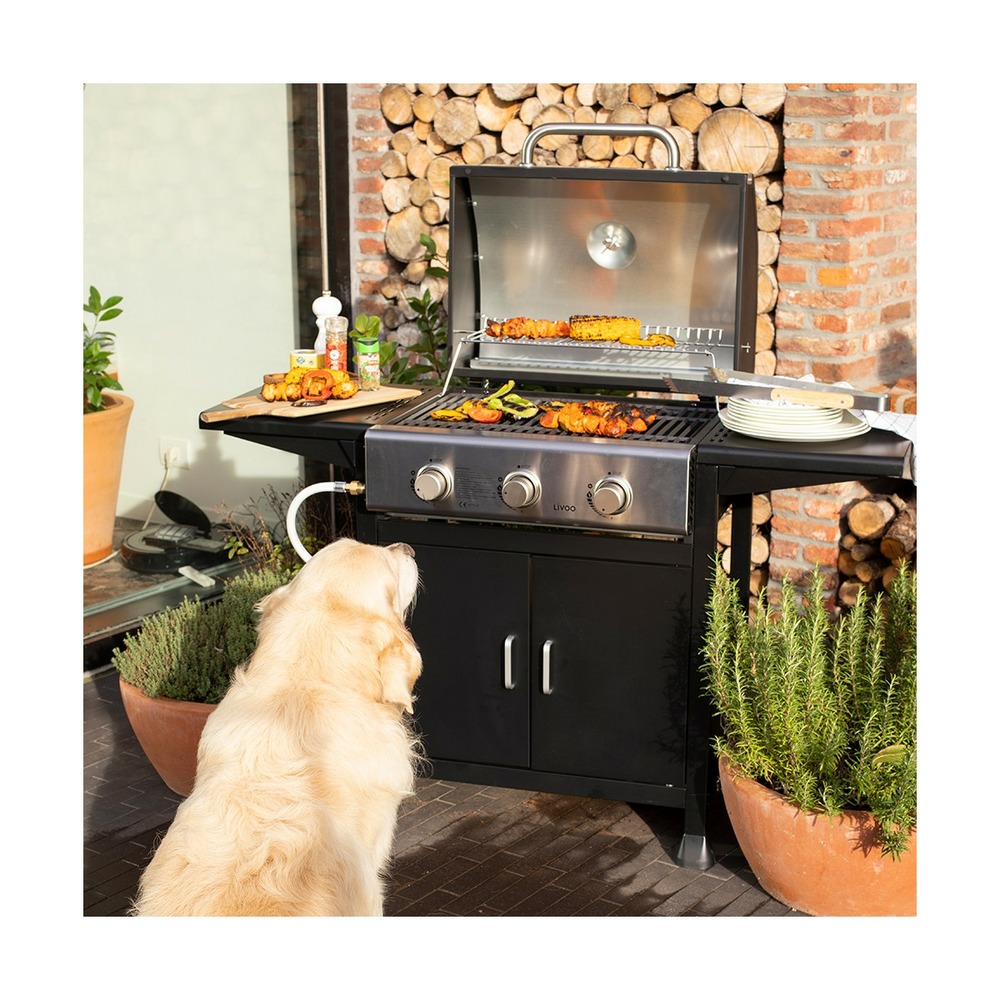 Barbecue gaz 3 brûleurs