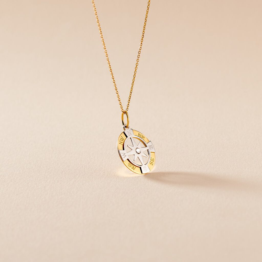Pendentif Demyan Or Bicolore Oxyde De Zirconium