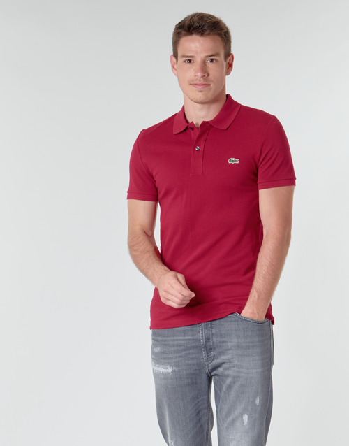 Lacoste - PH4012 SLIM - Bordeaux