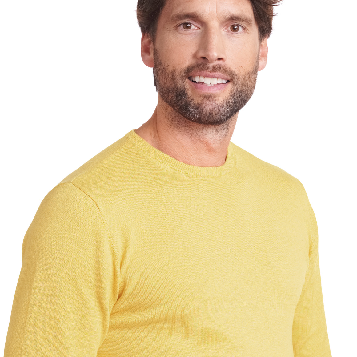 VanVaan Herren Pullover in Unifarben gelb