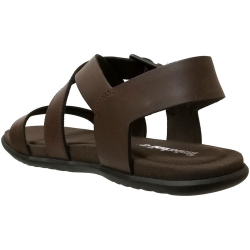 Timberland - Kesler cove backstrap Marrón