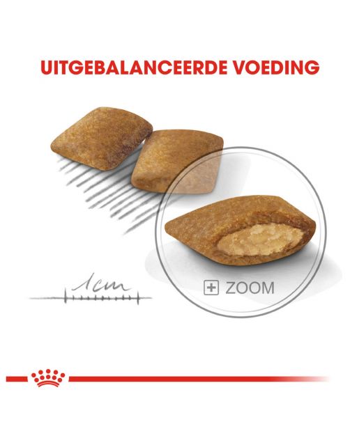 Royal Canin Exigent Mini - Hondenvoer