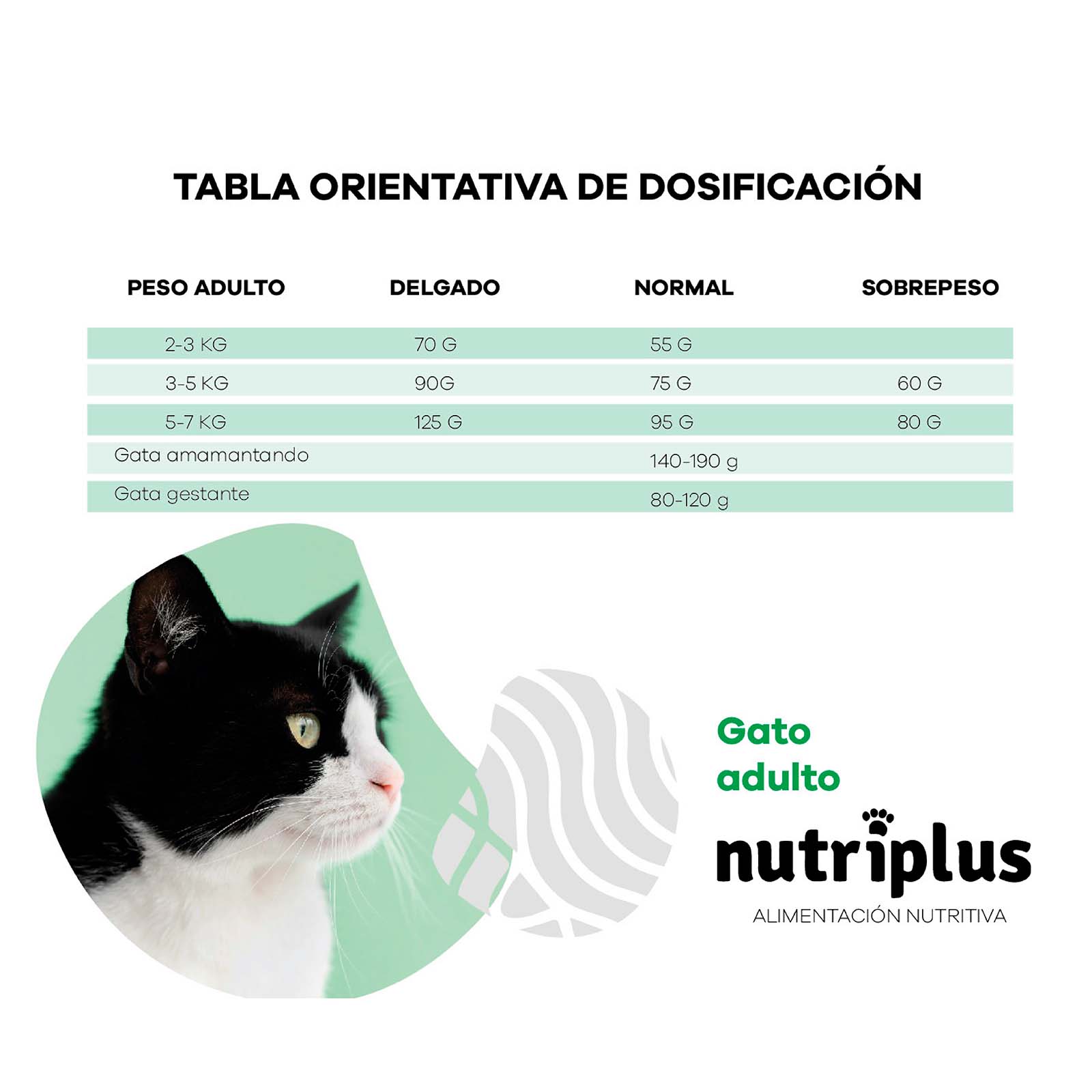 Ração para gatos adultos, sabor frango
