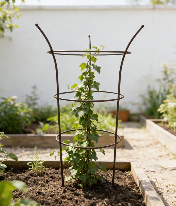 Dehner Pflanzstütze Chester, ca. Ø50/H70 cm