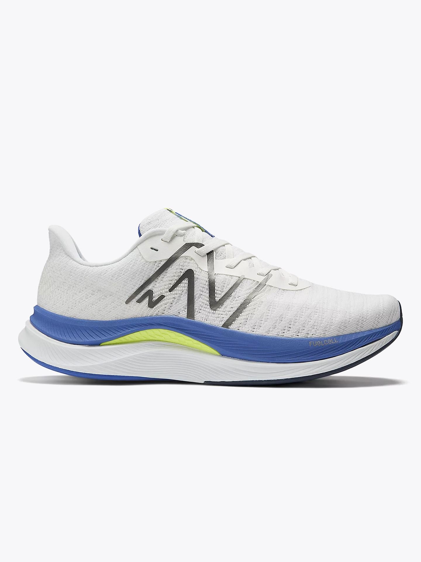 FuelCell Propel V4