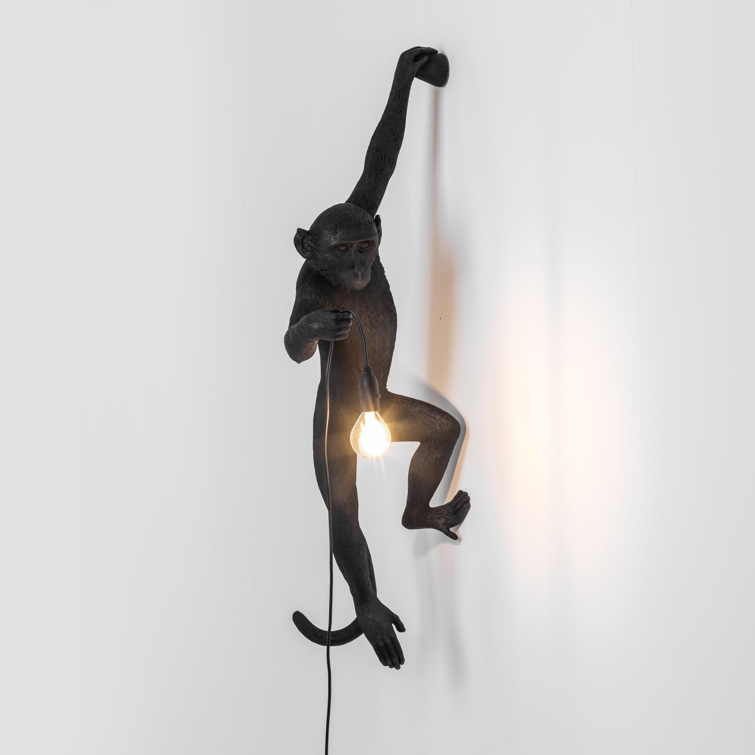 Seletti Monkey Outdoor Lampresin Hanging