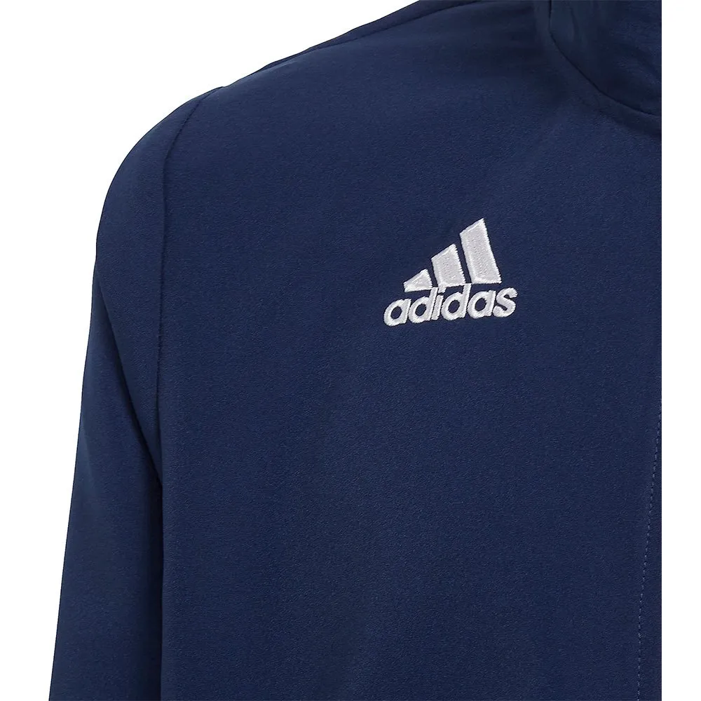 jaqueta adidas Entrada 22