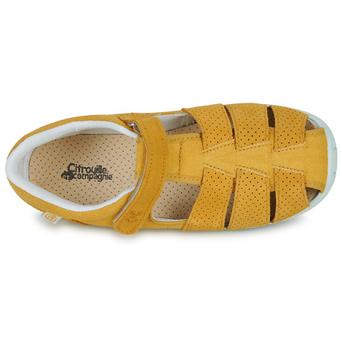 Citrouille et Compagnie - SABLO - Jaune