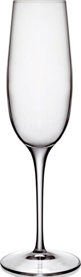 Luigi Bormioli Palace 6 stk. champagne 23,5 cl. Transparent