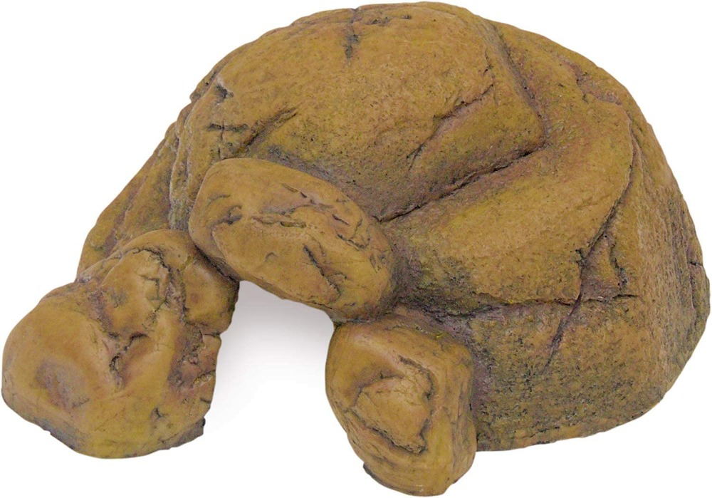 Cachette reptile grotte grand