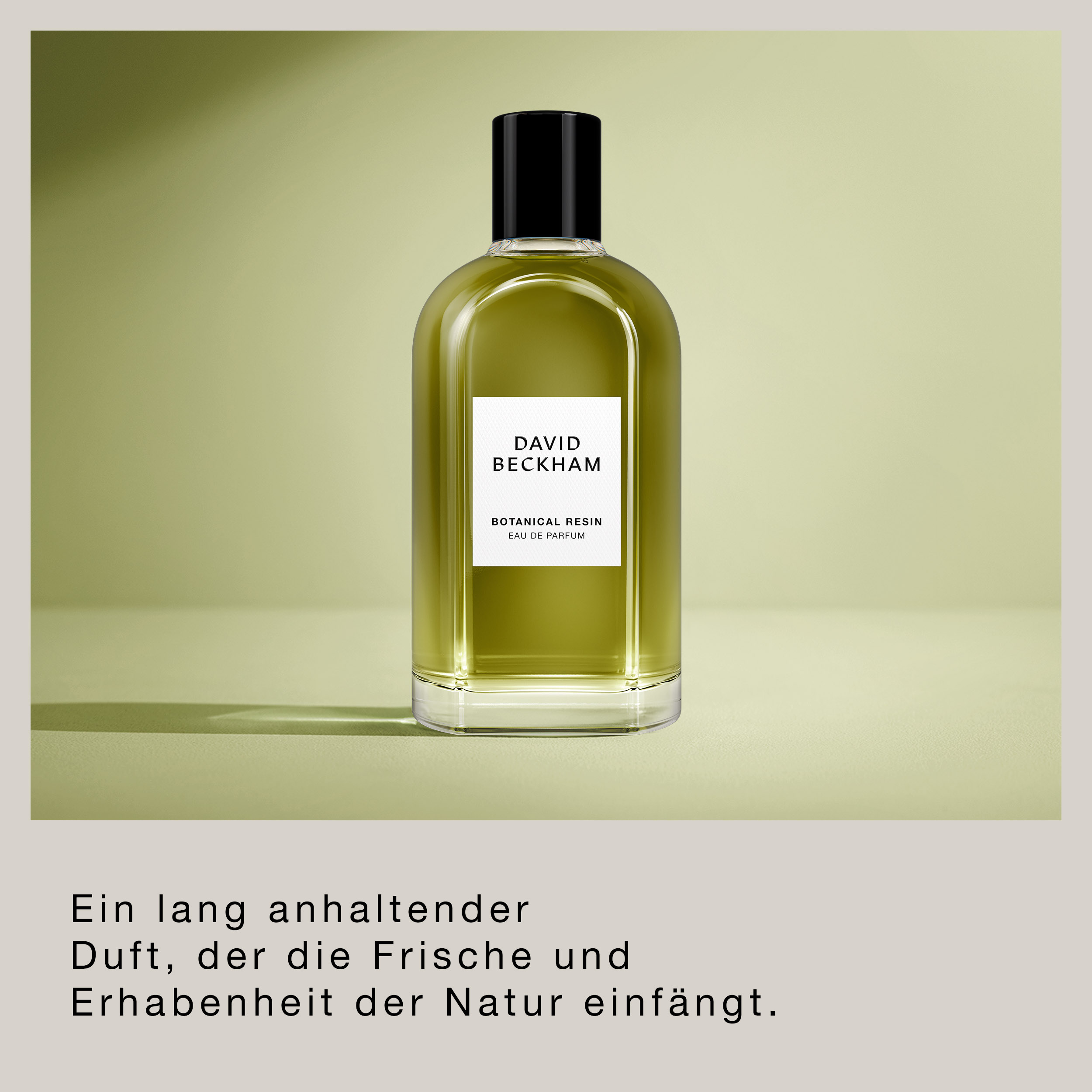 BECKHAM Botanical Resin Eau de Parfum<br>50 ml