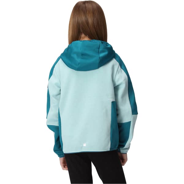 Veste polaire randonnée REGATTA DISSOLVER VII SEA HAZE/GULFSTREAM