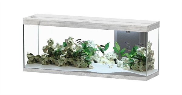 Aquatlantis Splendid 150x40 aquarium | Inclusief LED en filter