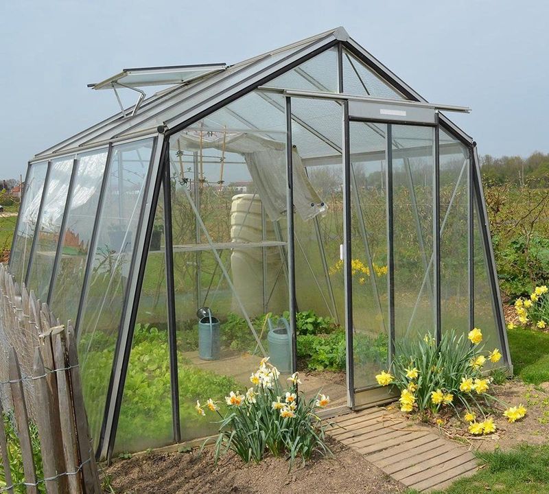 ACD - Prestige S104 - Tuinkas - Aluminium - 3,06 x 2,98m