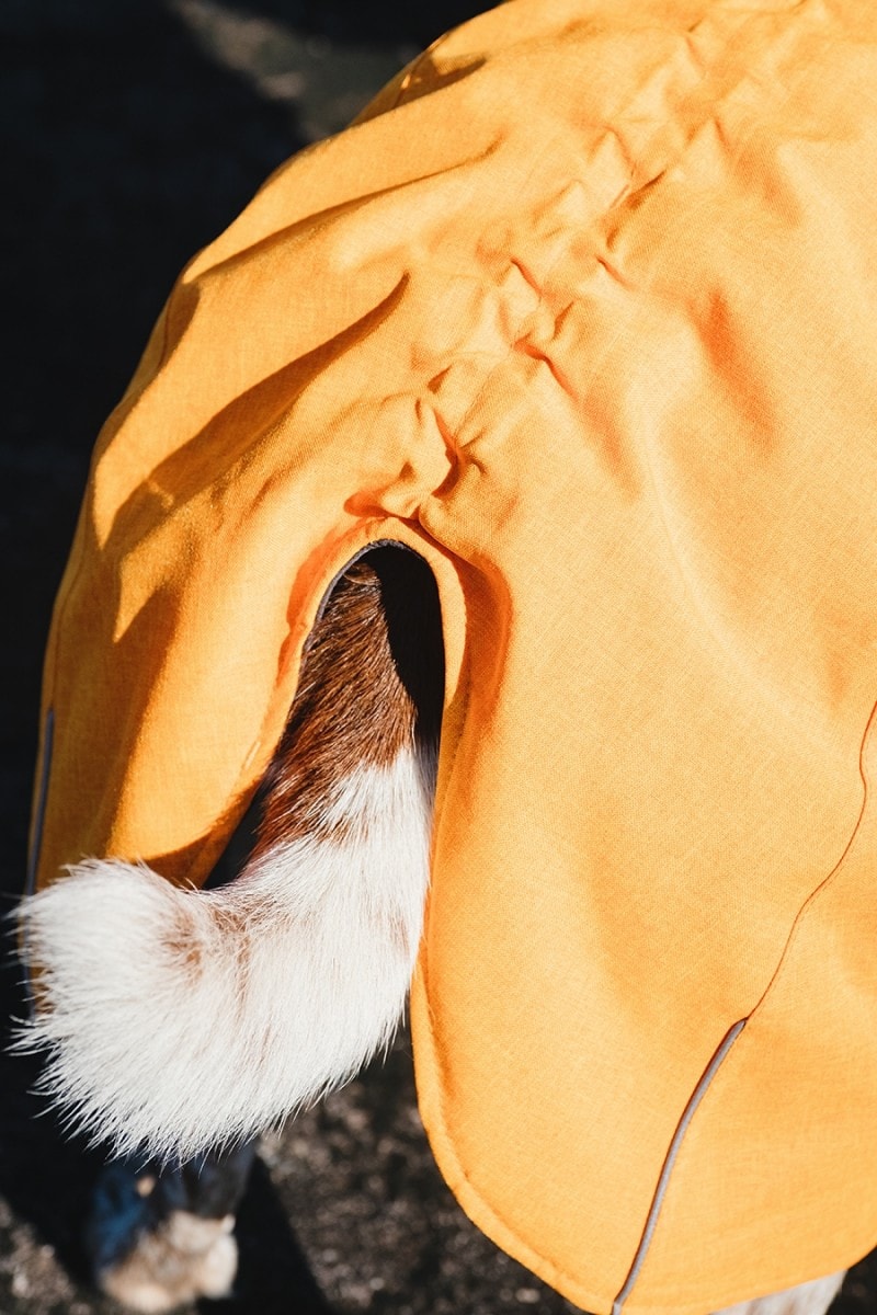 Hurtta Expedition varmedekken<br>Supert varmedekken til hund!