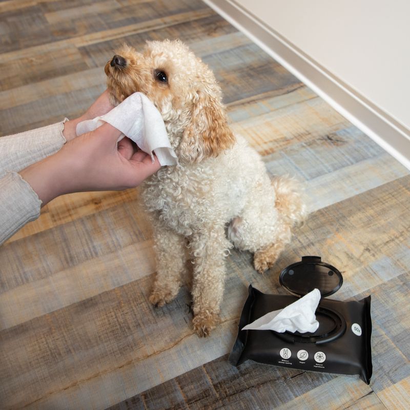 Lingettes hygiéniques kooa pour chien