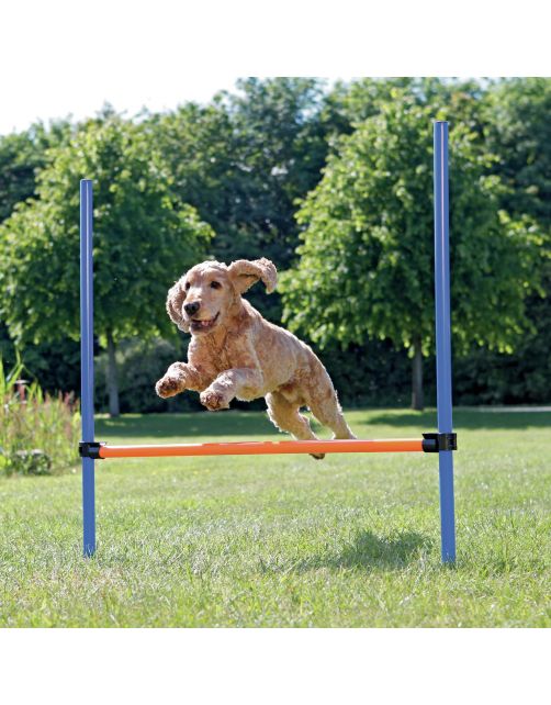Trixie Dog Activity Agility Horde - Hondensport - 123x115x3.0 cm Blauw Oranje